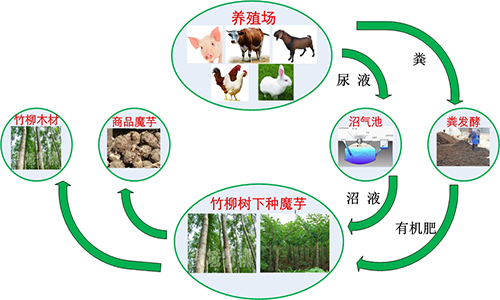 浙江省农业部现代生态循环农业发展试点