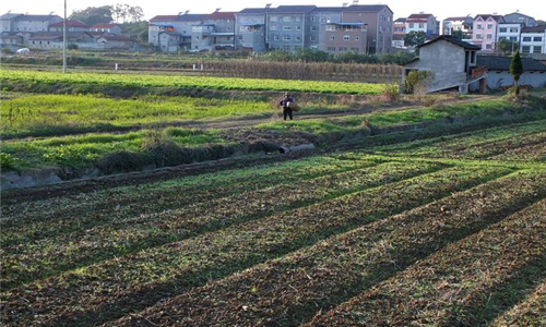 农村土地确权无地农民三种办法可以分到地并确权